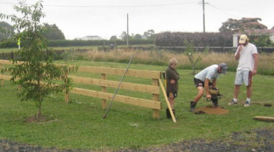 The Illusive Dream part 5