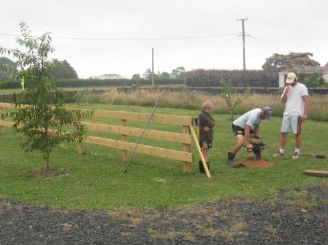 fencing orchard